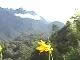 Malaysia, landscape